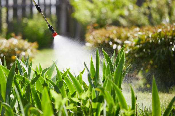 Void Injection for Cockroach Colonies in East Lake