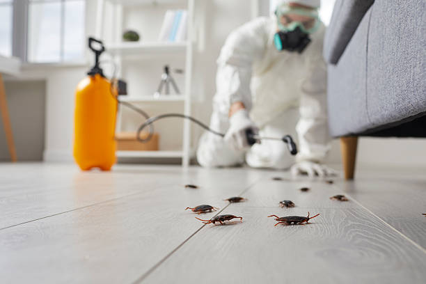 Commercial Kitchen Cockroach Control in East Lake